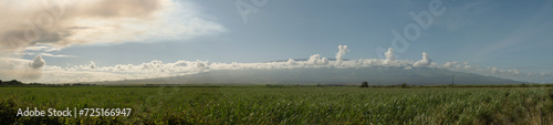 Haleakala volcano and sugar cane field wide panoramic view  sunny day on Maui  Hawaii