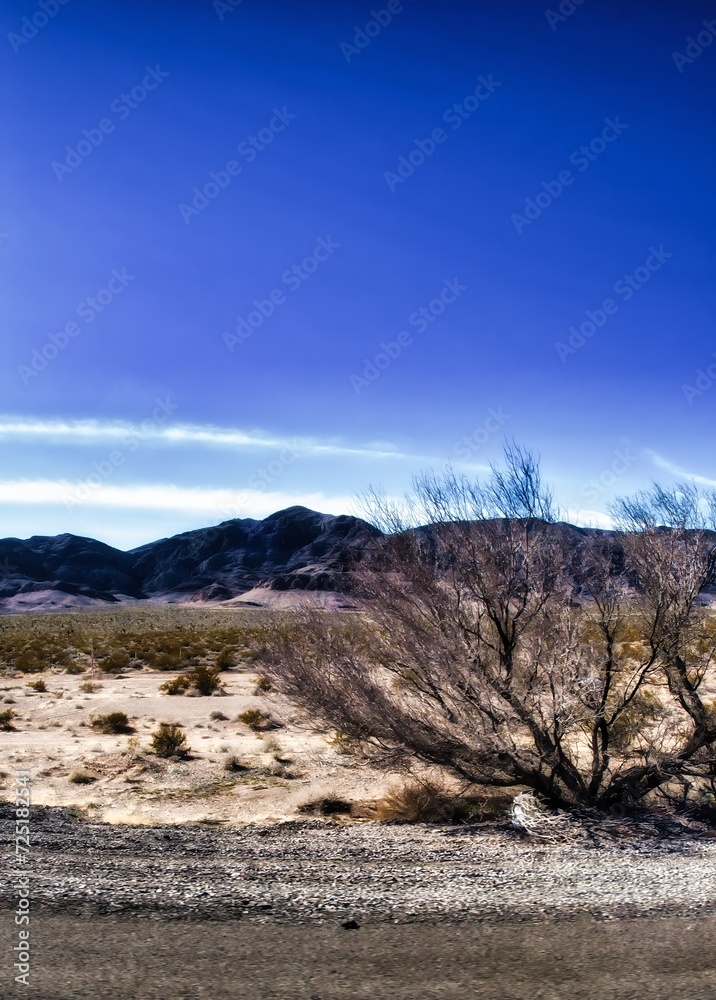 Φωτογραφία Las Vegas, United States - February 24 , 2013 : The dry desert countryside next