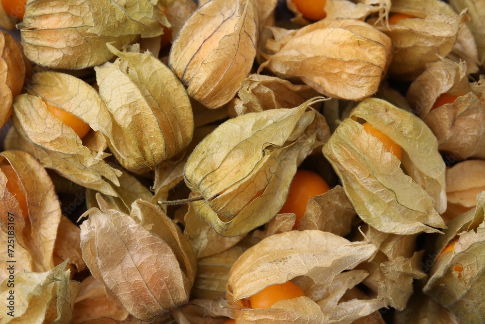 Ripe physalis fruits with calyxes as background, above view Ripe physalis fruits with calyxes as background, above view