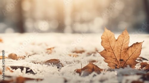 An The surface of dry leaves is covered with snow and ice on a winter day  nature background.