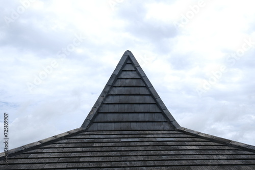 The roof of the house is triangular in vintage style on a white background
