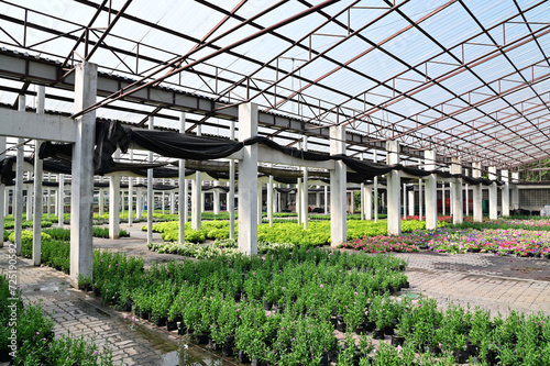 Closeup of Scenery in a greenhouse with many different kinds of trees and flowers placed in a beautiful row. Concept a place to cultivate tree seedlings and flowers in Thailand.