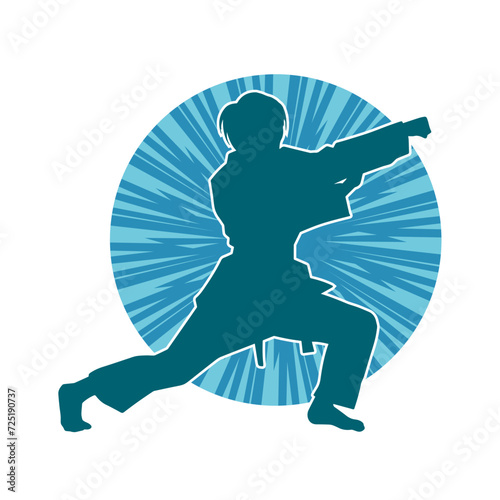 Silhouette of a slim female doing martial art pose. Silhouette of a martial art woman in action pose.

