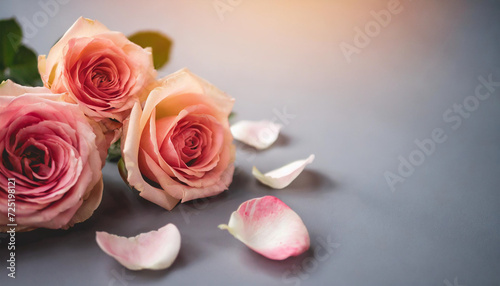 blooming rose on a pristine table  symbolizing love  beauty  and elegance