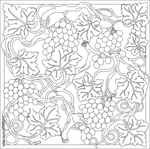 Vector sketch illustration design ornament ornament classic vintage ethnic traditional floral plant motif
