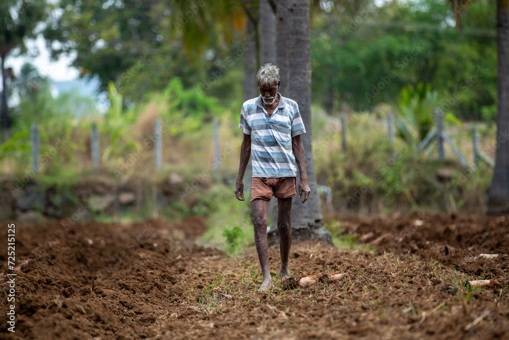 The farmer from India is busy with crop farming. The farmer from India is busy with crop farming.