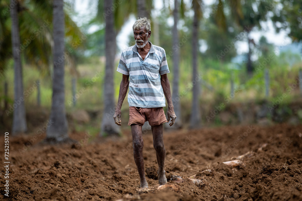 An Indian farmer is growing plants in the field. An Indian farmer is growing plants in the field.