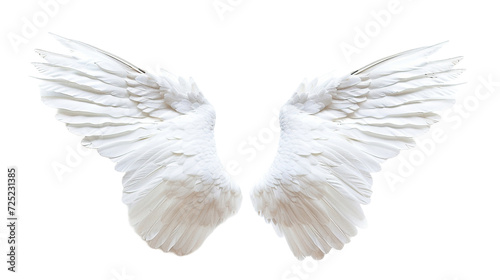 Angel white wings on transparent background photo