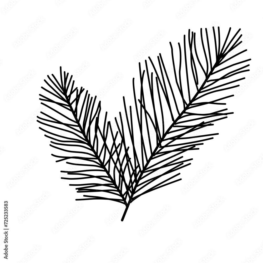 Hand Drawn Spurce Branch Hand Drawn Spurce Branch
