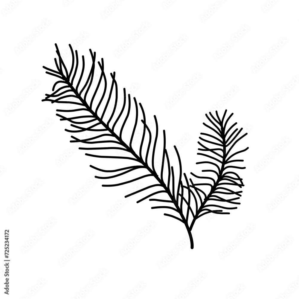 Naklejka premium Hand Drawn Spurce Branch 