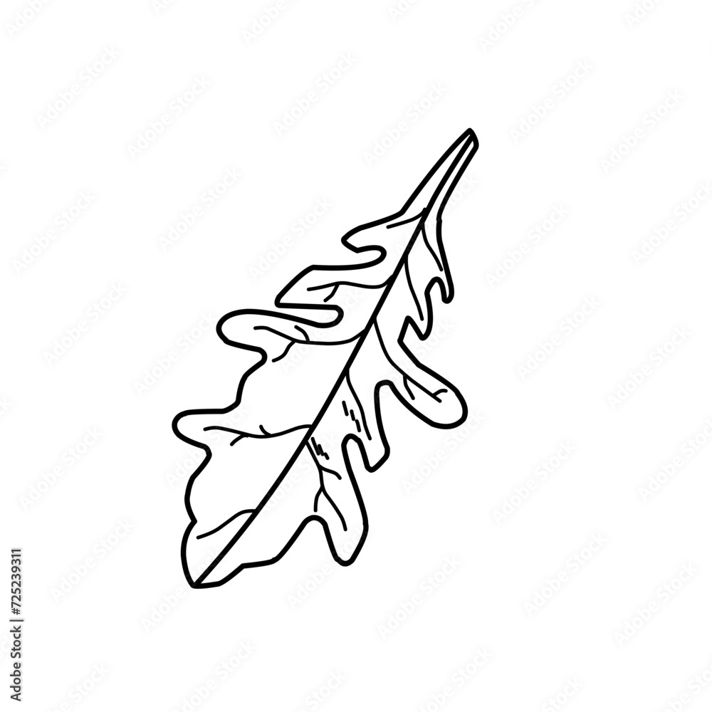 Fototapeta premium Hand Drawn Arugula Leaves 