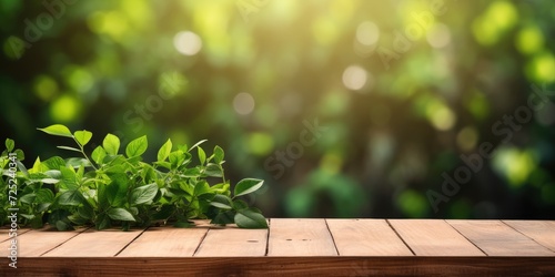 Natural greenery on wooden table background for product display with copy space.