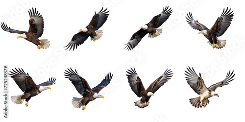 Set of  eagle flies with its wings  on transparency background PNG photo