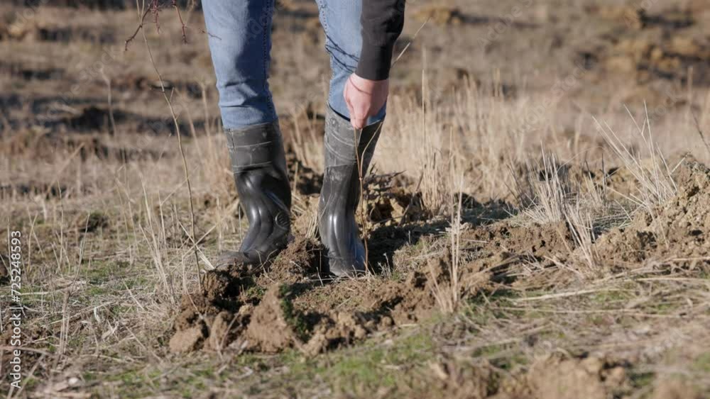 A Man in Boots Compacting the Soil with His Feet - Close Up A Man in Boots Compacting the Soil with His Feet - Close Up