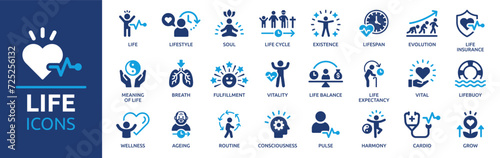 Life icon set. Containing lifespan, soul, vitality, life insurance, wellness, existence, pulse, harmony and more. Solid vector icons collection.