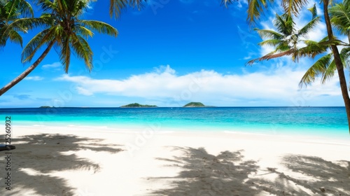 tropical beach with palm trees © pankajsingh