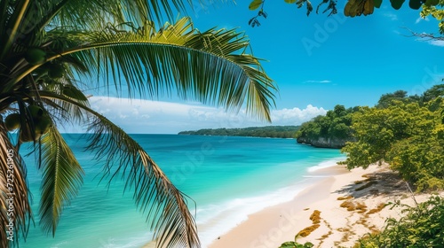 Lovely palm-lined beach on an island with a blue water.
