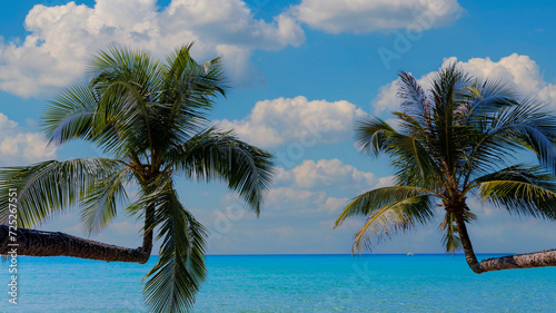 Fototapeta Naklejka Na Ścianę i Meble -  Summer palm tree  and Tropical beach with  Aqua waves and coconut palm shadow on blue background.