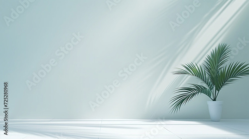 Minimalistic light background with Green Palm Leaves with Light and Shadow Effects. Beautiful background for Minimalist Tropical Plant Composition with White and Blue Tones 