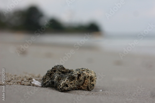 fish on the beach