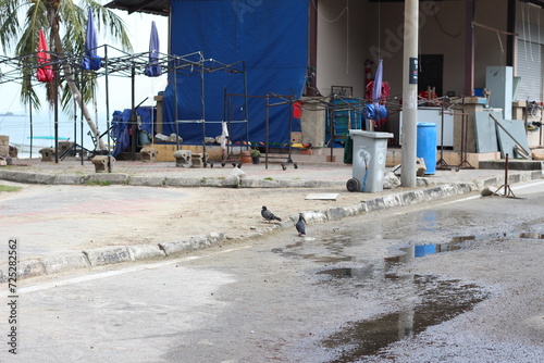 site on the beach