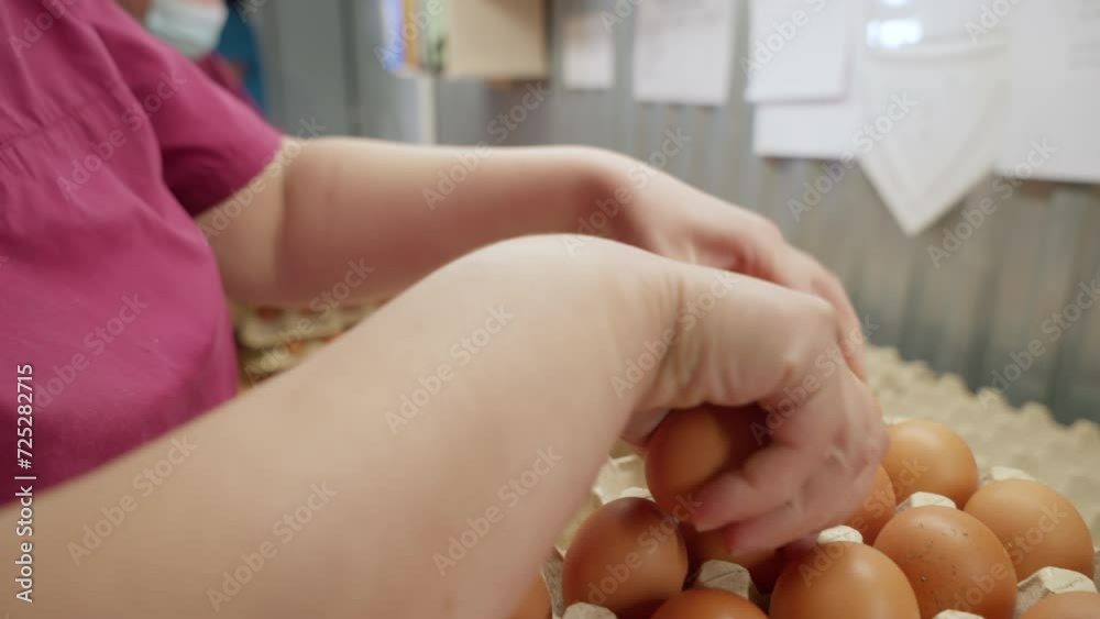 Sorting process of the multiple hen eggs manufactured at the poultry plant. Workers sorting the produced hen eggs into the plastic trays. Sorting fresh brown hen eggs at the production factory. Sorting process of the multiple hen eggs manufactured at the poultry plant. Workers sorting the produced hen eggs into the plastic trays. Sorting fresh brown hen eggs at the production factory.