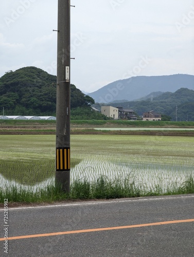 A landscape with a tall, grey utility pole in the foreground, and green rice fields and hills in the background.