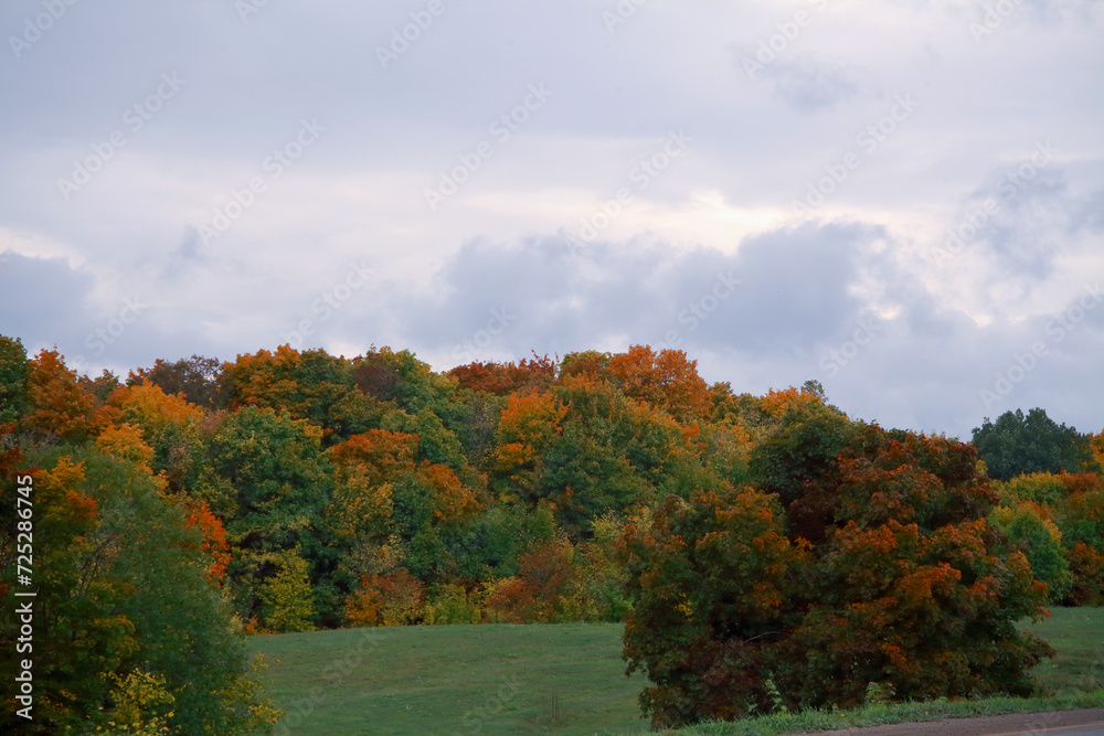 Autumn landscape with a winding road. with a yellow maple. A lonely tree with yellow and bright leaves.The ground is strewn with foliage. Autumn concept. landscape in the park.close-up.Postcard
Autumn landscape with a winding road. with a yellow maple. A lonely tree with yellow and bright leaves.The ground is strewn with foliage. Autumn concept. landscape in the park.close-up.Postcard
