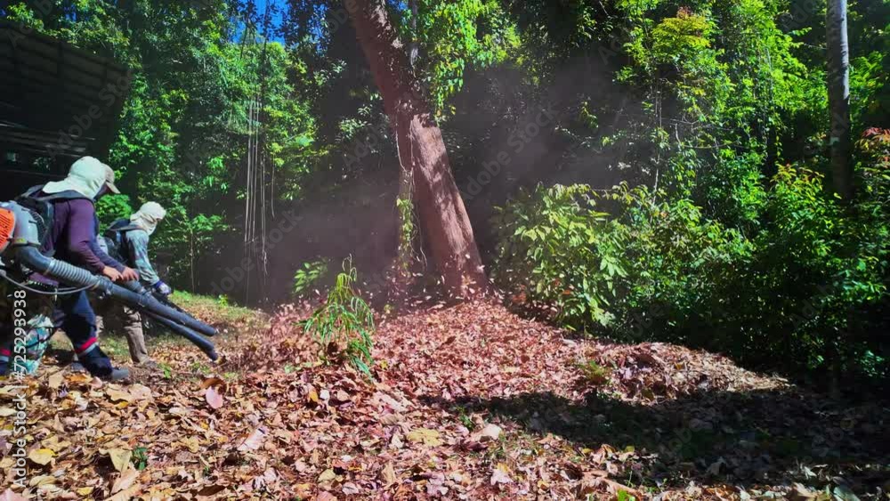 Slow motion Gardeners simultaneously use a backpack blower. .Blow the leaves and grass clippings together into a large pile. .Keep your garden clean and prevent forest fires. clean park background. Slow motion Gardeners simultaneously use a backpack blower. .Blow the leaves and grass clippings together into a large pile. .Keep your garden clean and prevent forest fires. clean park background.