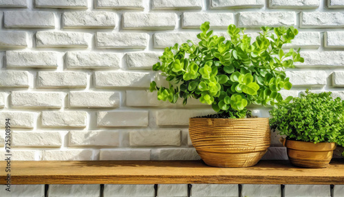 Contemporary White Brick Wall with Shelves and Potted Houseplant. Wooden Decorative Planter on the White Brick Wall © Tatiana