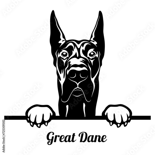 Peeking Great Dane - Dog Breed - Pet Vector Portrait, Dog Silhouette Stencil - Cricut file EPS