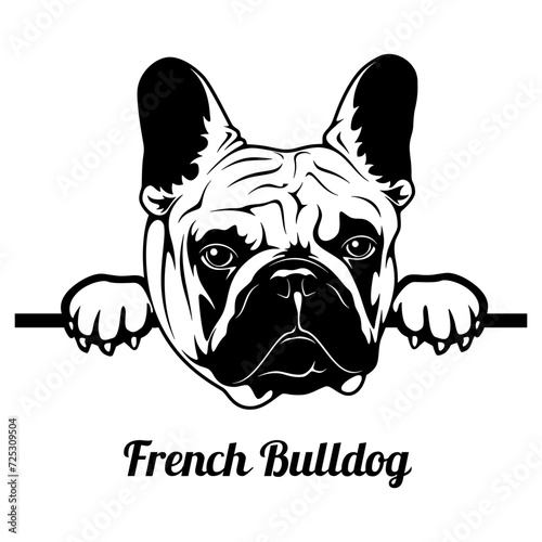 Peeking French Bulldog - Dog Breed - Pet Vector Portrait, Dog Silhouette Stencil - Cricut file EPS
