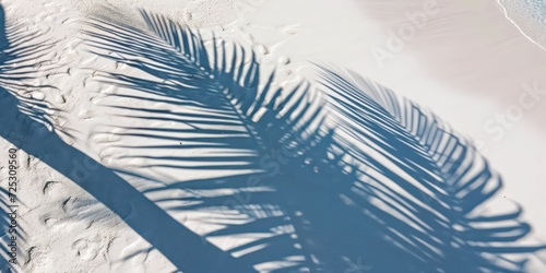 Close-up, top-down perspective, you can witness the captivating interplay of tropical leaves casting intricate shadows on the glistening surface of the water. 
