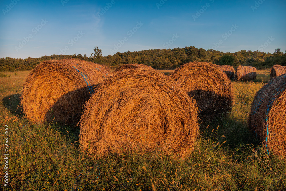 Rounded Hay Bale In Front Of Blue Sky, Hay Bale, Hay Bales, Rounded Hay Bales