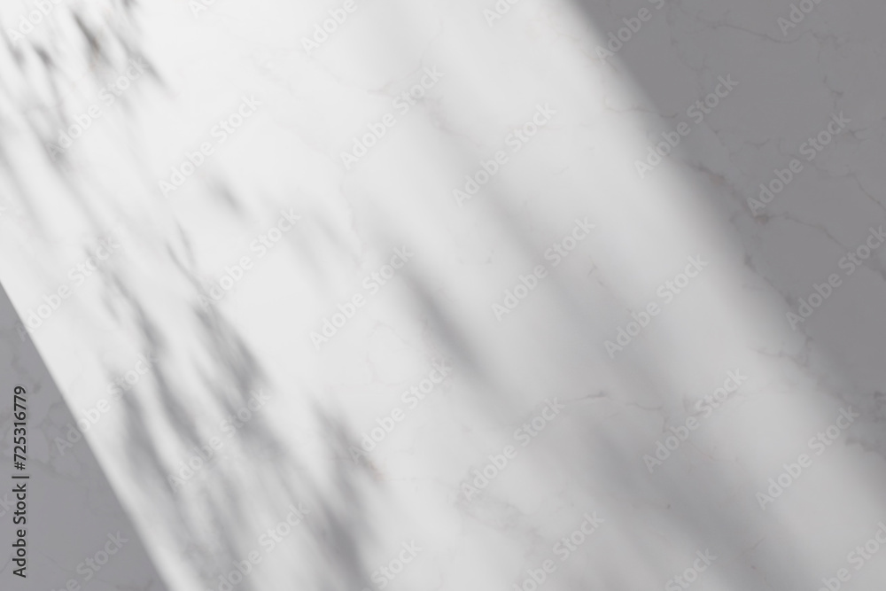 Obraz premium Sunshine, tree shadows, various texture backgrounds. 3d rendering.