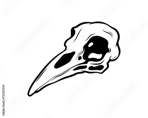 Mystical vector illustration. Crow skull on a white background. Hand drawn bird skull, line sketch. Gothic style. Freehand drawing in Boho style. Witchcraft, magical voodoo attribute for Halloween.