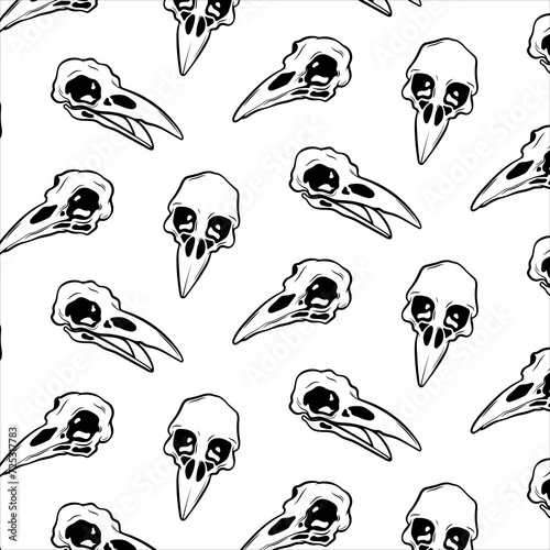 Raven skull. Seamless mystical black and white vector background for textiles, fabrics, wallpaper, packaging. Design for the holiday of the dead and Halloween. photo