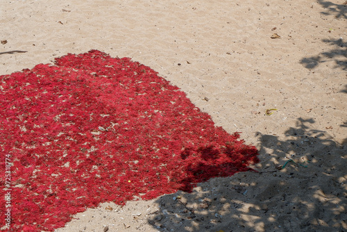 red seaweed drying on white sand under the hot sun photo