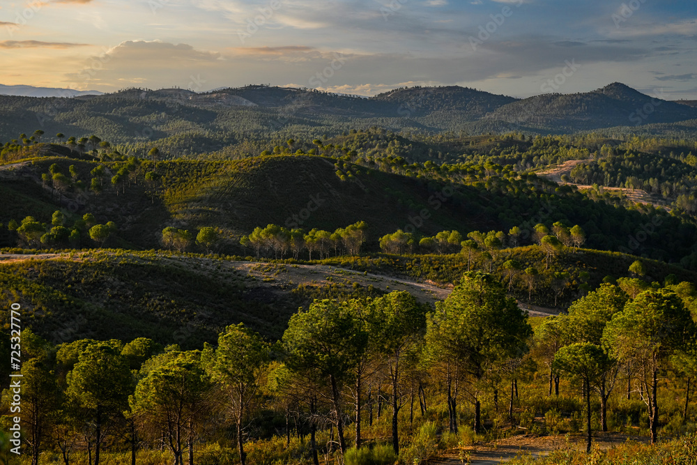 Golden Hour Over the Rolling Hills and Forests of Huelva