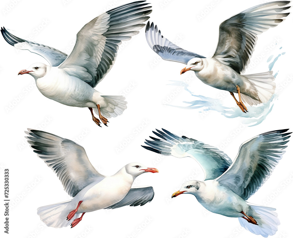 Obraz premium Watercolor collection of seagulls illustration
