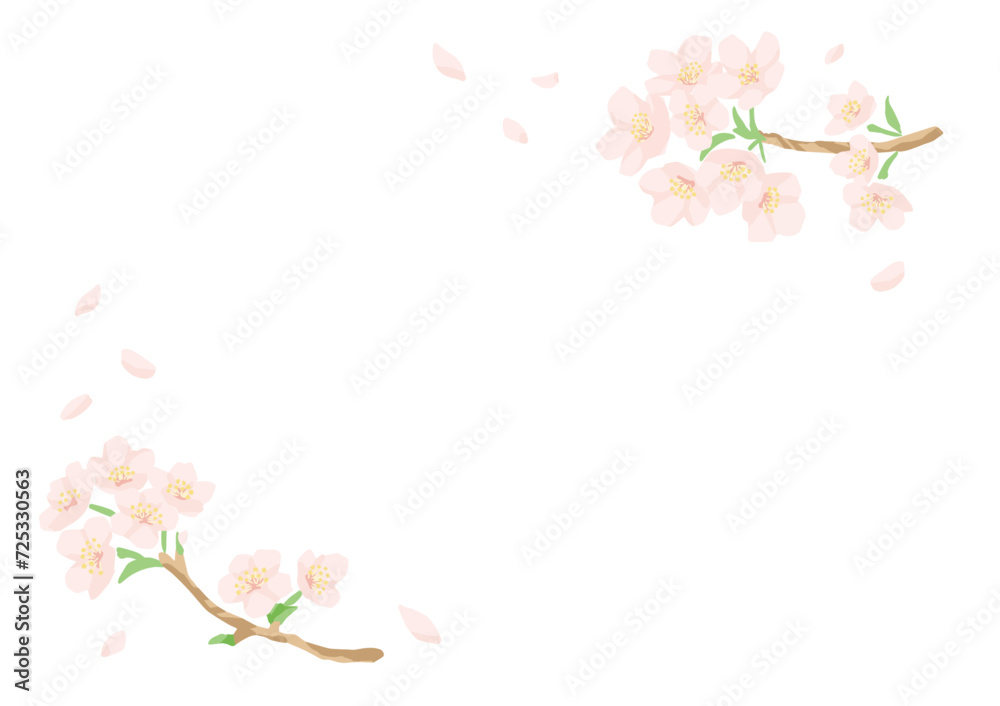 手書き風の桜のフレーム素材・フラットでシンプル・コピースペース 手書き風の桜のフレーム素材・フラットでシンプル・コピースペース