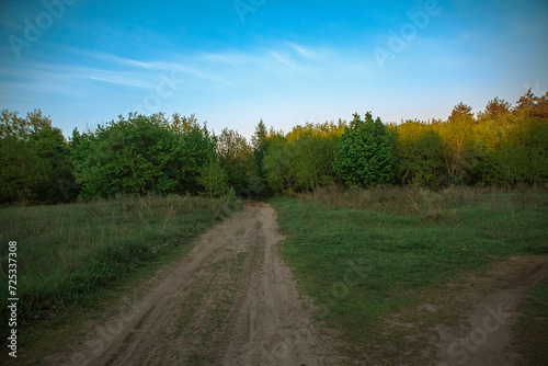 road in the forest