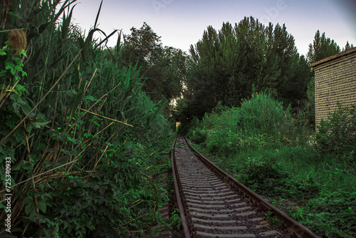 railway in the forest