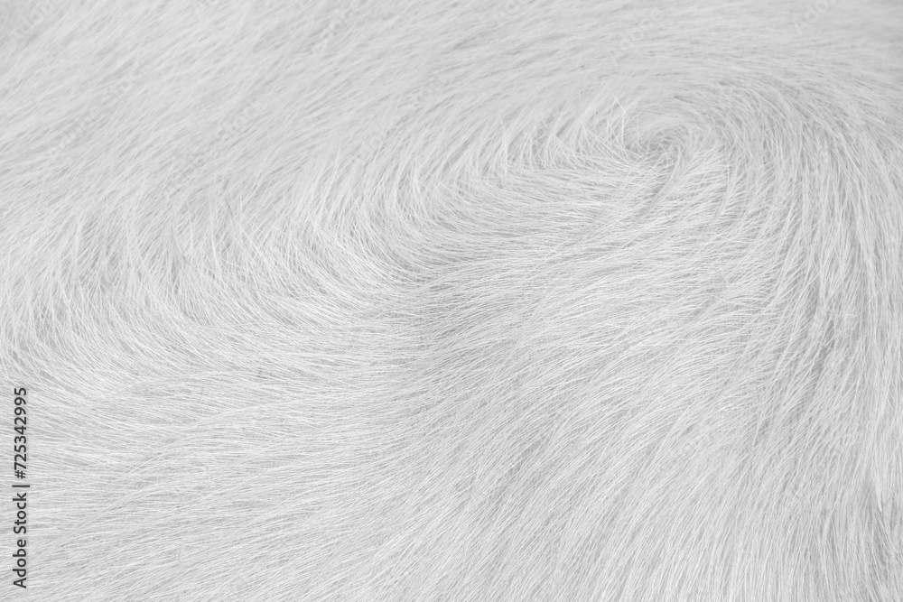 White grey buffalo fur texture soft focus light background
