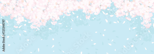 ふわふわした桜と青空 photo