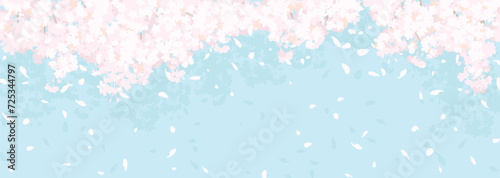 ふわふわした桜と青空