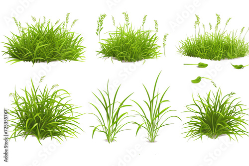 Realistic set of green grass sprouts photo