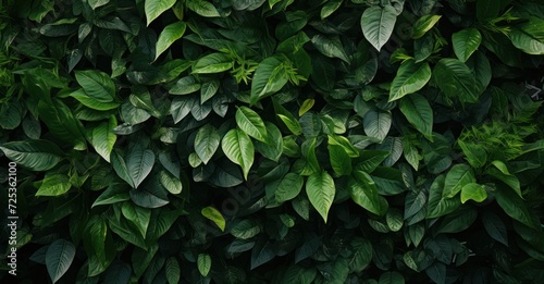 lush green foliage texture, showcasing detailed leaves and vibrant colors