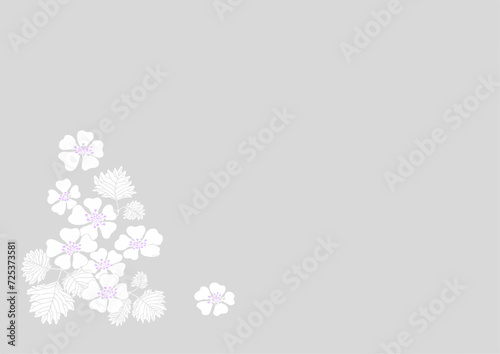Wild strawberry flower frame with text space