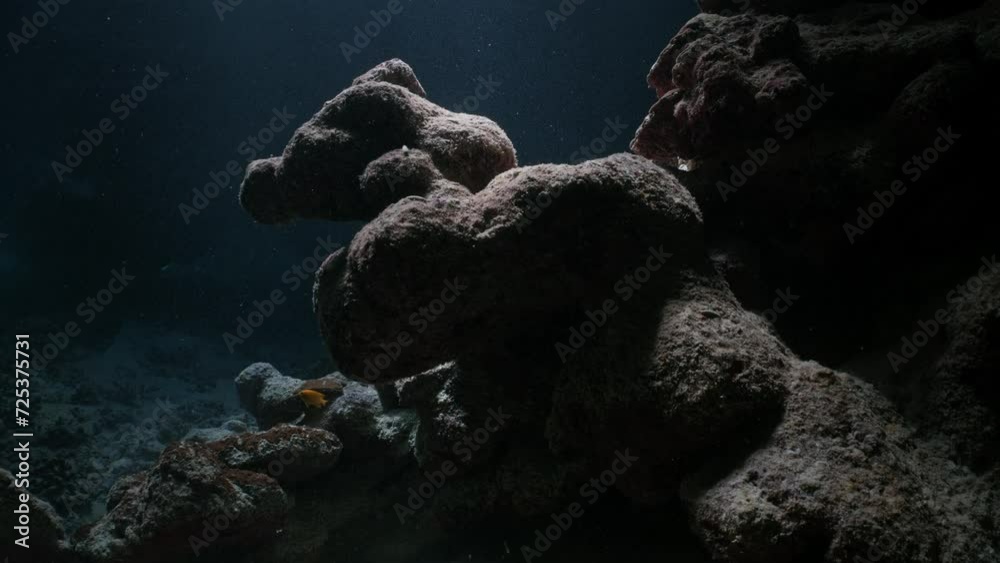Explore Caves in the Saint John's Reef in the Red Sea in Egypt
